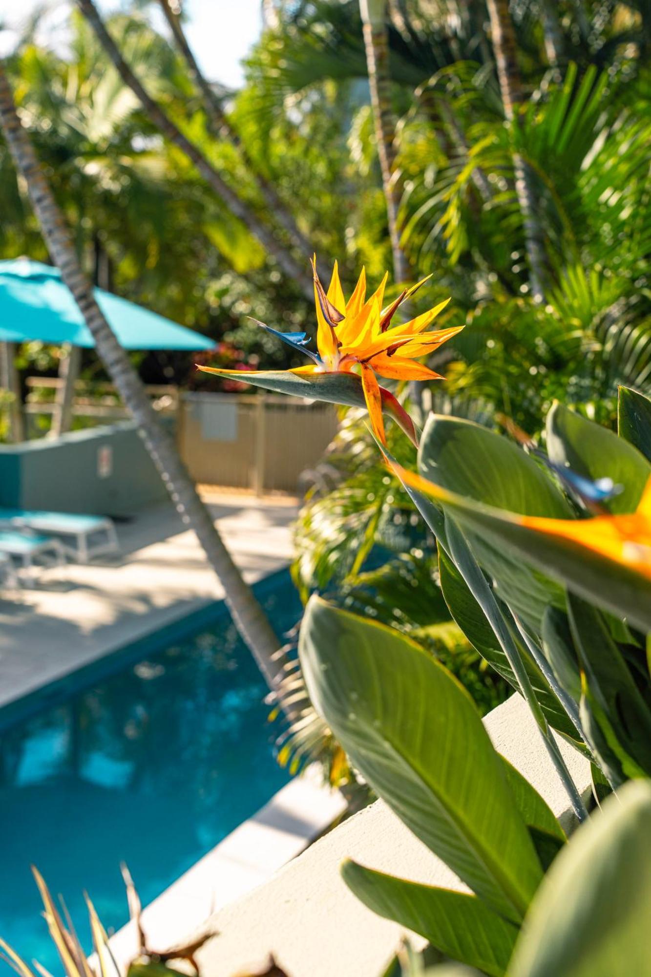 Lennox Beach Resort Lennox Head Esterno foto